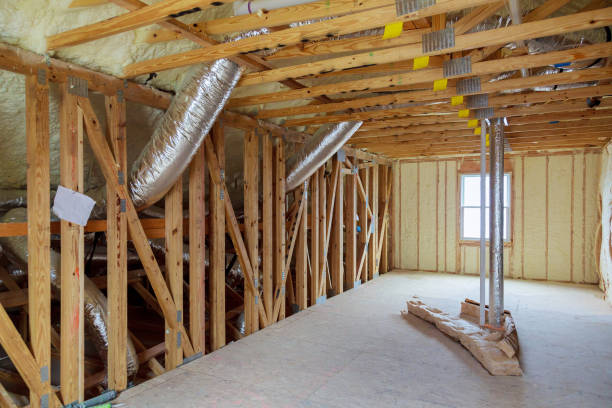 Professional Insulation Contractor in Daphne, AL